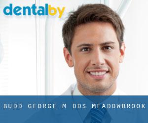 Budd George M DDS (Meadowbrook)