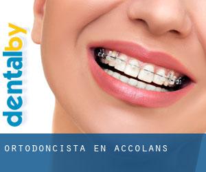 Ortodoncista en Accolans