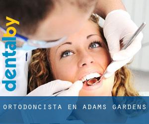 Ortodoncista en Adams Gardens