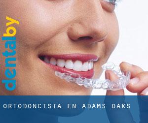 Ortodoncista en Adams Oaks