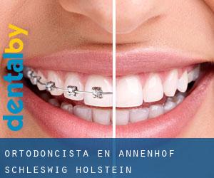Ortodoncista en Annenhof (Schleswig-Holstein)
