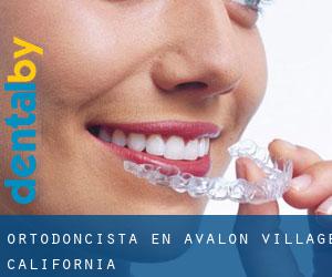 Ortodoncista en Avalon Village (California)