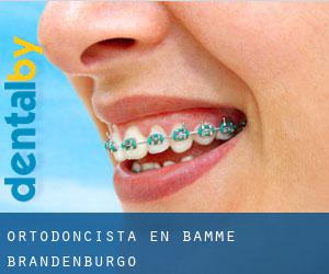Ortodoncista en Bamme (Brandenburgo)