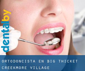 Ortodoncista en Big Thicket Creekmore Village
