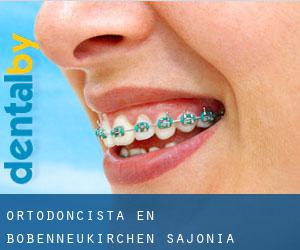Ortodoncista en Bobenneukirchen (Sajonia)