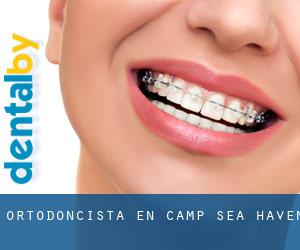 Ortodoncista en Camp Sea Haven