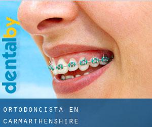 Ortodoncista en Carmarthenshire