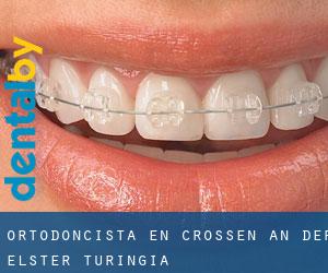Ortodoncista en Crossen an der Elster (Turingia)