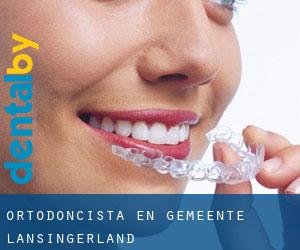 Ortodoncista en Gemeente Lansingerland