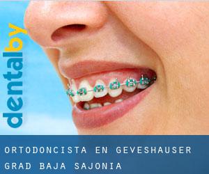 Ortodoncista en Geveshauser Grad (Baja Sajonia)