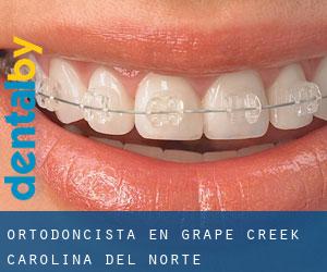 Ortodoncista en Grape Creek (Carolina del Norte)