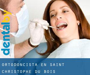 Ortodoncista en Saint-Christophe-du-Bois