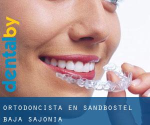 Ortodoncista en Sandbostel (Baja Sajonia)