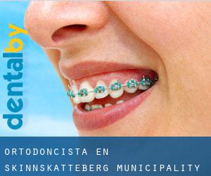 Ortodoncista en Skinnskatteberg Municipality