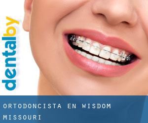 Ortodoncista en Wisdom (Missouri)