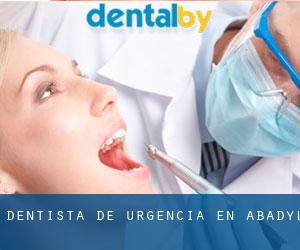 Dentista de urgencia en Abadyl