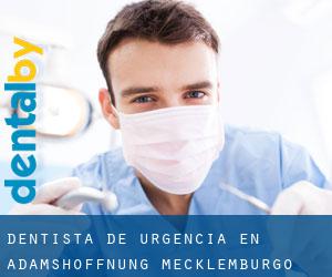Dentista de urgencia en Adamshoffnung (Mecklemburgo-Pomerania Occidental)