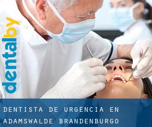 Dentista de urgencia en Adamswalde (Brandenburgo)