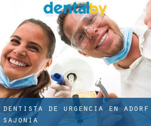 Dentista de urgencia en Adorf (Sajonia)