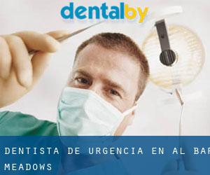 Dentista de urgencia en Al Bar Meadows