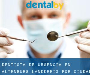 Dentista de urgencia en Altenburg Landkreis por ciudad - página 1
