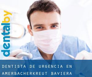 Dentista de urgencia en Amerbacherkreut (Baviera)