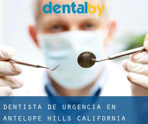 Dentista de urgencia en Antelope Hills (California)