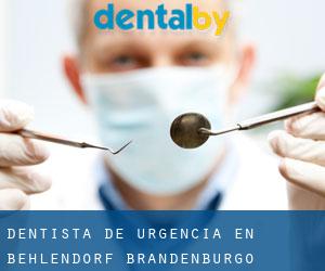 Dentista de urgencia en Behlendorf (Brandenburgo)