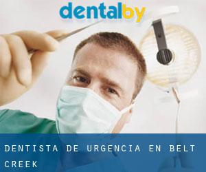 Dentista de urgencia en Belt Creek