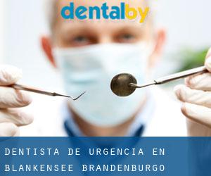 Dentista de urgencia en Blankensee (Brandenburgo)