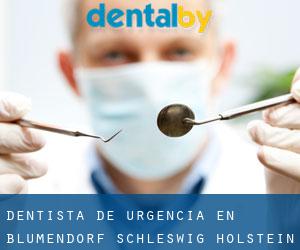 Dentista de urgencia en Blumendorf (Schleswig-Holstein)