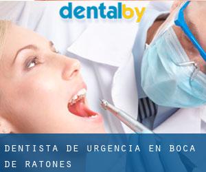 Dentista de urgencia en Boca de Ratones