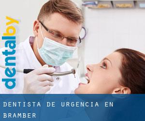Dentista de urgencia en Bramber