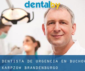 Dentista de urgencia en Buchow-Karpzow (Brandenburgo)