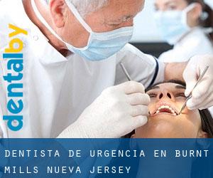Dentista de urgencia en Burnt Mills (Nueva Jersey)