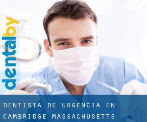 Dentista de urgencia en Cambridge (Massachusetts)