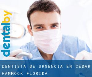 Dentista de urgencia en Cedar Hammock (Florida)