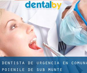 Dentista de urgencia en Comuna Poienile de sub Munte