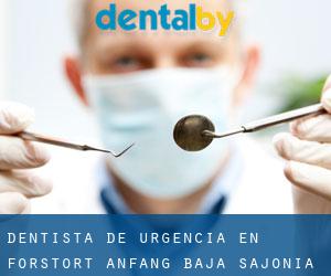 Dentista de urgencia en Forstort Anfang (Baja Sajonia)