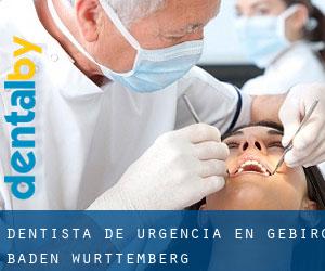 Dentista de urgencia en Gebirg (Baden-Württemberg)