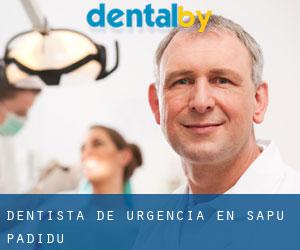 Dentista de urgencia en Sapu Padidu