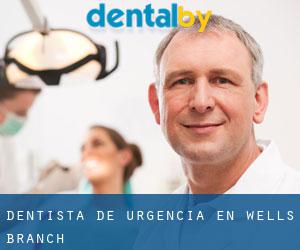 Dentista de urgencia en Wells Branch