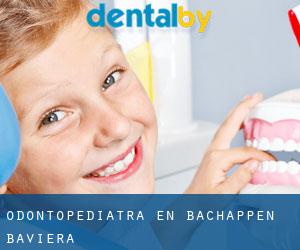Odontopediatra en Bachappen (Baviera)