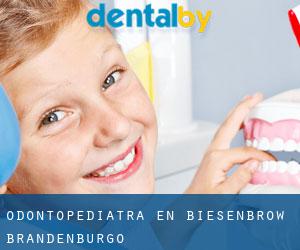 Odontopediatra en Biesenbrow (Brandenburgo)