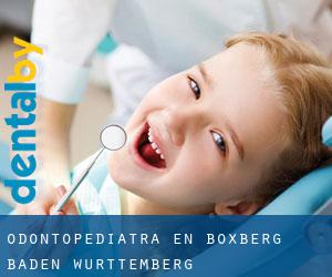 Odontopediatra en Boxberg (Baden-Württemberg)