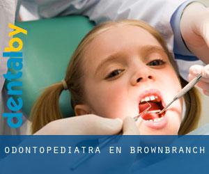 Odontopediatra en Brownbranch