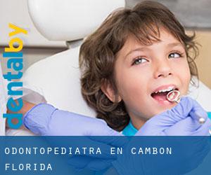 Odontopediatra en Cambon (Florida)
