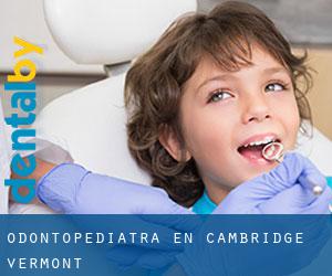 Odontopediatra en Cambridge (Vermont)