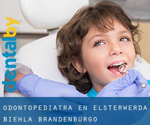 Odontopediatra en Elsterwerda-Biehla (Brandenburgo)