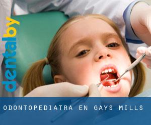 Odontopediatra en Gays Mills